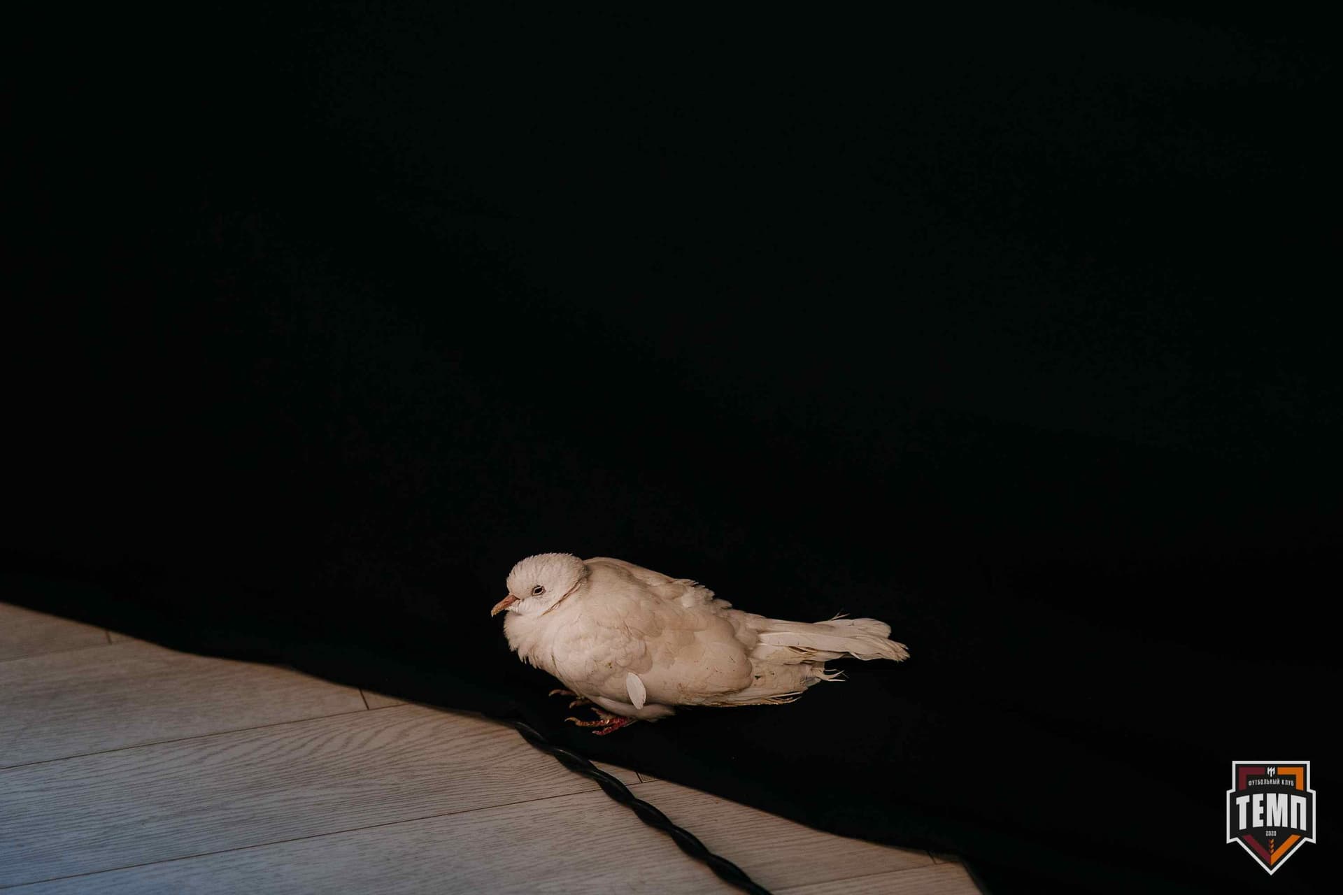 Банкет ФК «Темп». 2024 — кадр 190