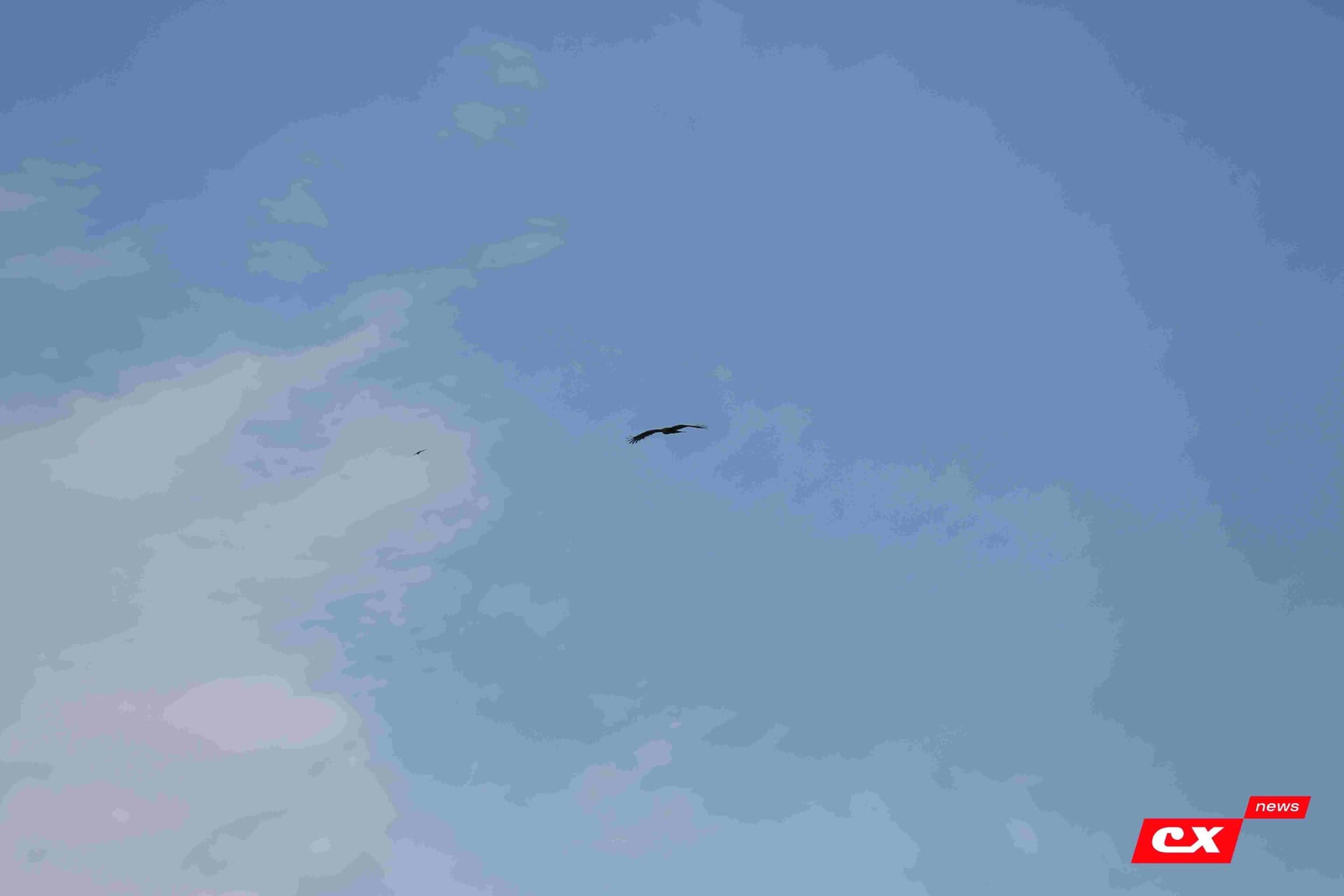 «Динамо-Барнаул-М» 1:3 «Темп». Кубок Сибири. 27.06.2025. Владимир Мартынов («CX News») — кадр 147