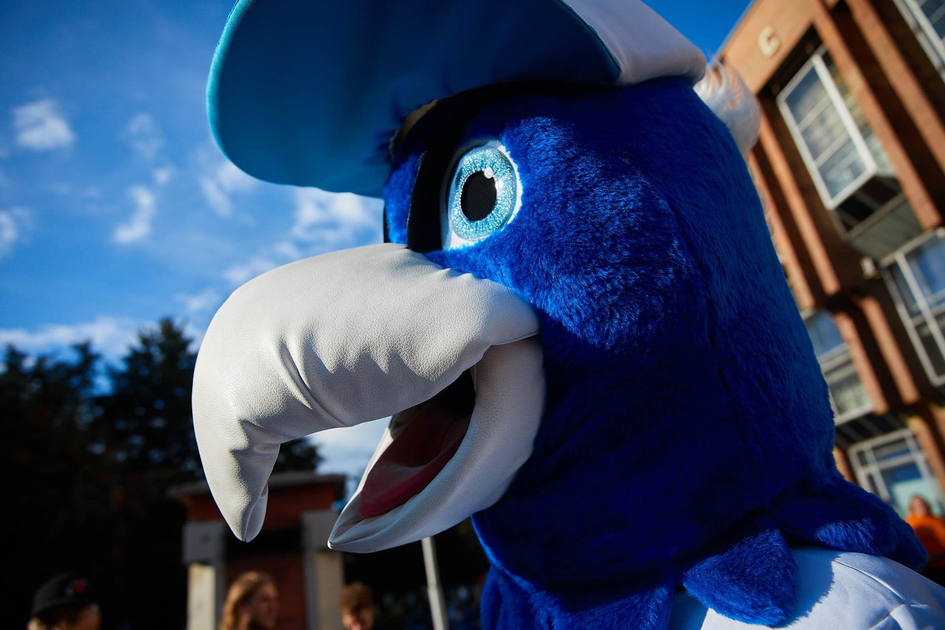 «Сибирь» 4:3 «Темп». Fonbet Кубок России. 21.08.2024. Пресс-служба «Сибири» — кадр 9