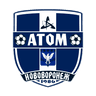 Атом (Нововоронеж)