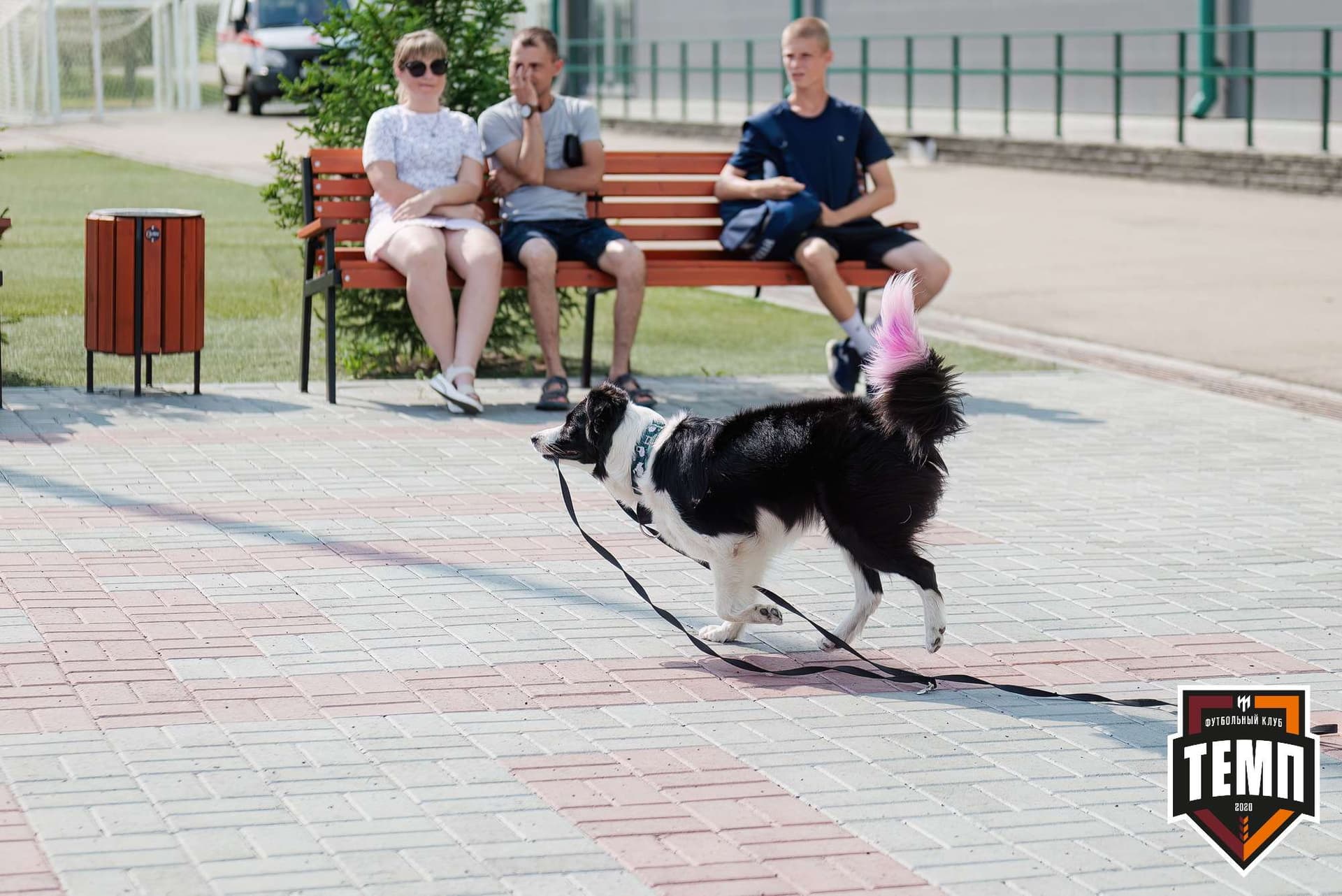 «Темп» 4:0 «Бурятия». Третья лига. 30.06.2024 — кадр 10